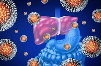 illustration of hepatitis virus concept with three-dimensional virus cells attached to an illustration of a human liver.   