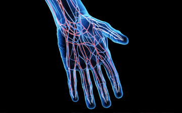 imaging of a hand