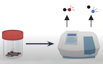 A jar containing a fecal sample with an arrow pointing to an analyzer that is under two result indicators 