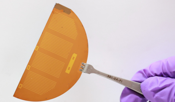 Tweezers holding a thin sheet filled with tiny microgrippers