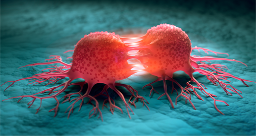 A 3D illustration of cancer cells dividing