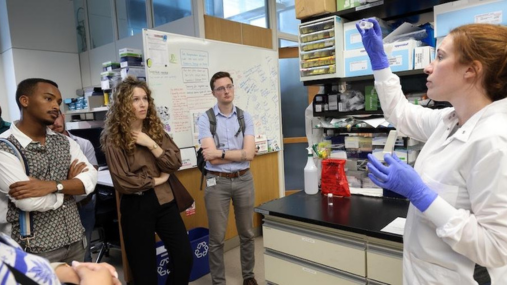 Dr. Kaitlyn Sadtler talks about her research to congressional visitors