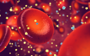 artistic representation of a red blood cell surrounded by small blue and yellow particles