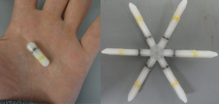 A photo of a hand holding the capsule with the drug delivery system inside and a photo of the star-shaped structure released in the stomach.