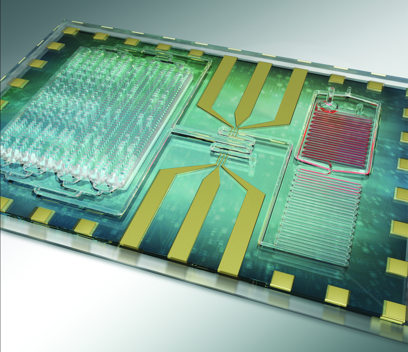 Sepsis Biochip