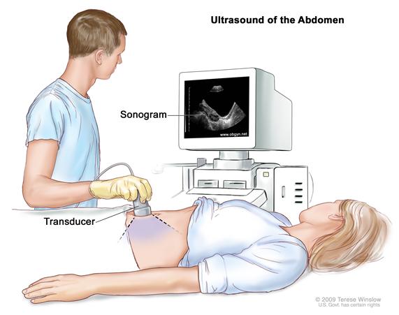 ultrasound science