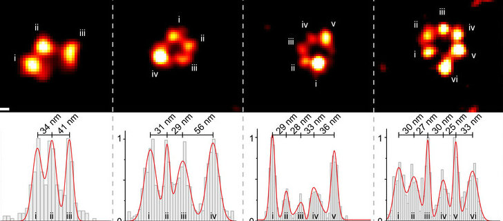 comparison of super-resolution identification of labeled proteins and qPAINT detection of the same proteins