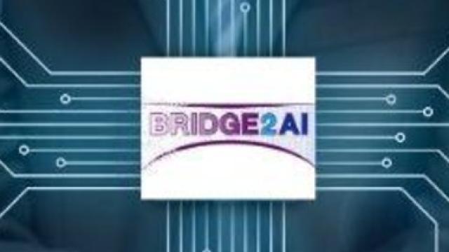 BRIDGE 2AI graphic