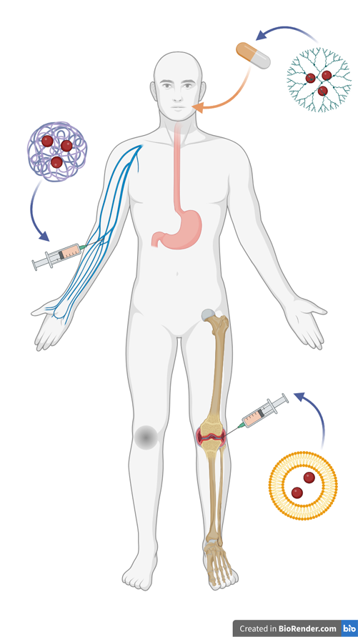 A medical diagram showing different biomaterial drug carriers and how they can be administrated in the body