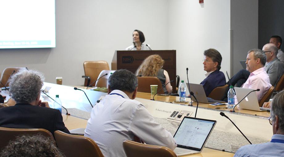 Zeynep Erim, Director of the NIBIB Division of Interdisciplinary Training. leads a Discussion of training programs with T32 principal investigators