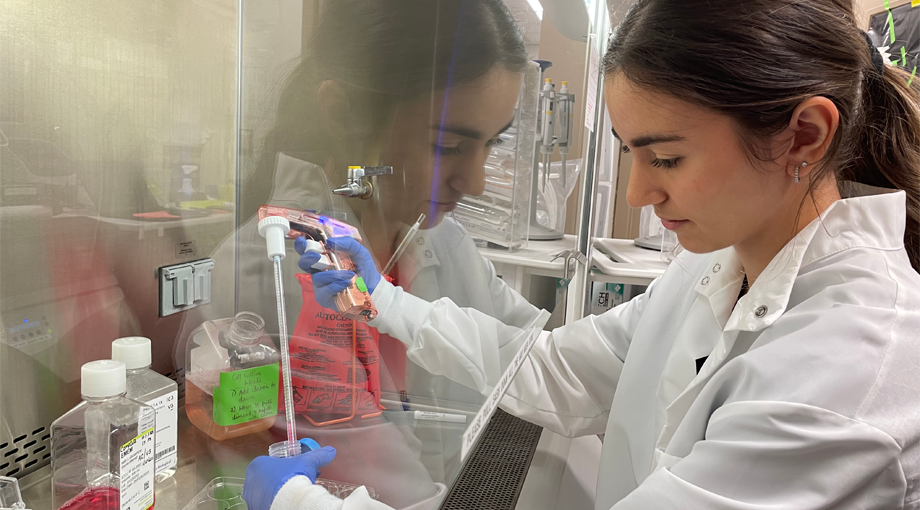 A photo of intern Alessandra Coogan working in a biosafety cabinet in the immunoengineering lab